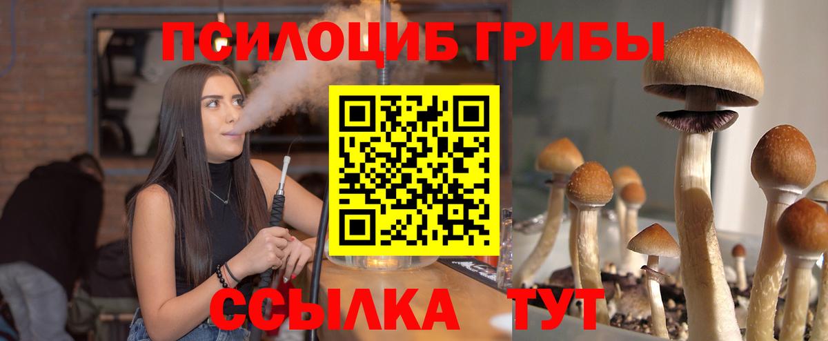 Галлюциногенные грибы Cubensis Рубцовск