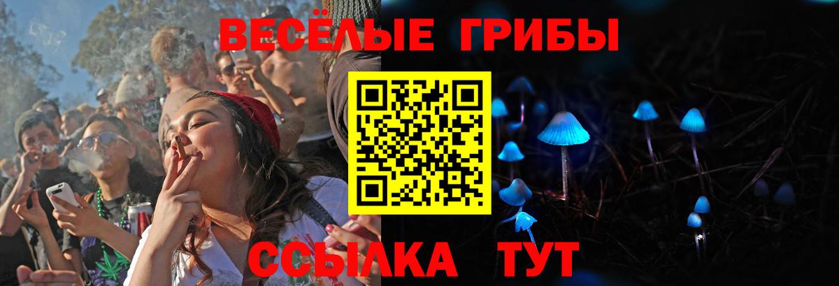 Галлюциногенные грибы мицелий  Вход с VPN  Рубцовск  Псилоцибиновые грибы Magic Shrooms 